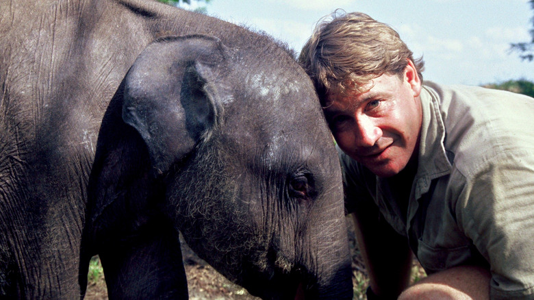 Steve Irwin con un elefante