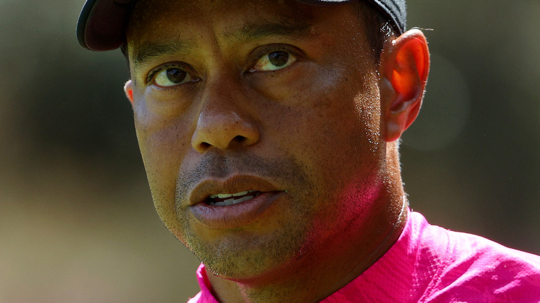 Tiger Woods si concentra