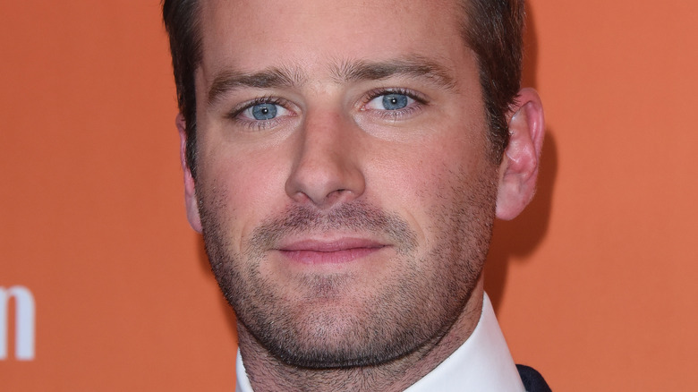Armie Hammer in posa