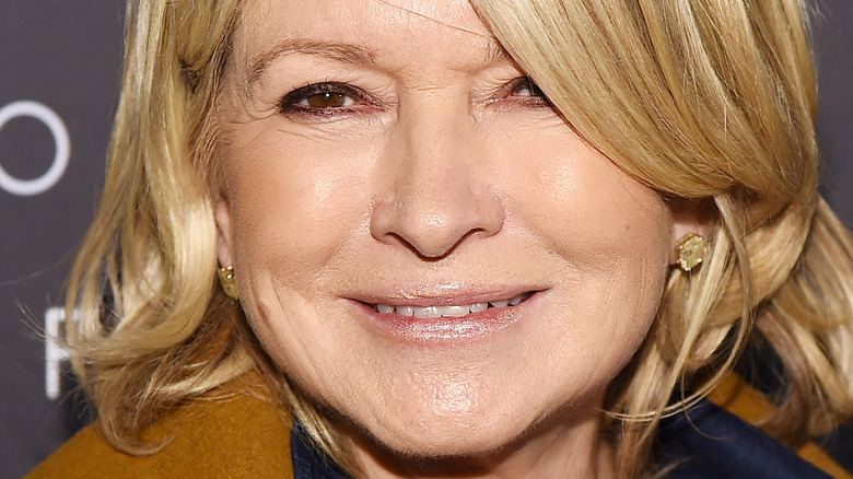 Primo piano sorridente di Martha Stewart