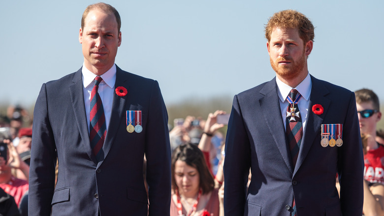 Il principe Harry e il principe William in posa 