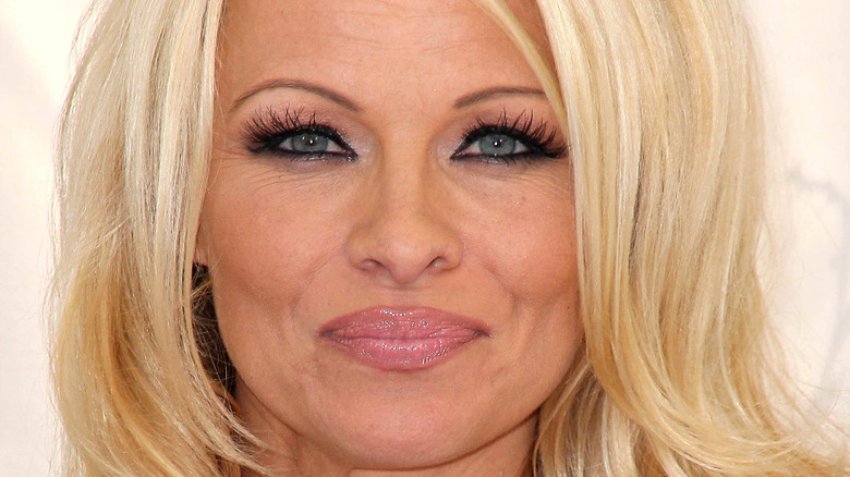 Pamela Anderson in posa per una foto 2012
